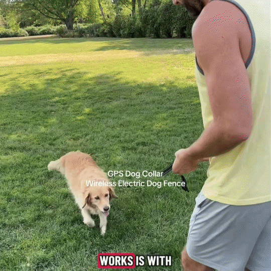 Smart GPS Wireless Dog Fence