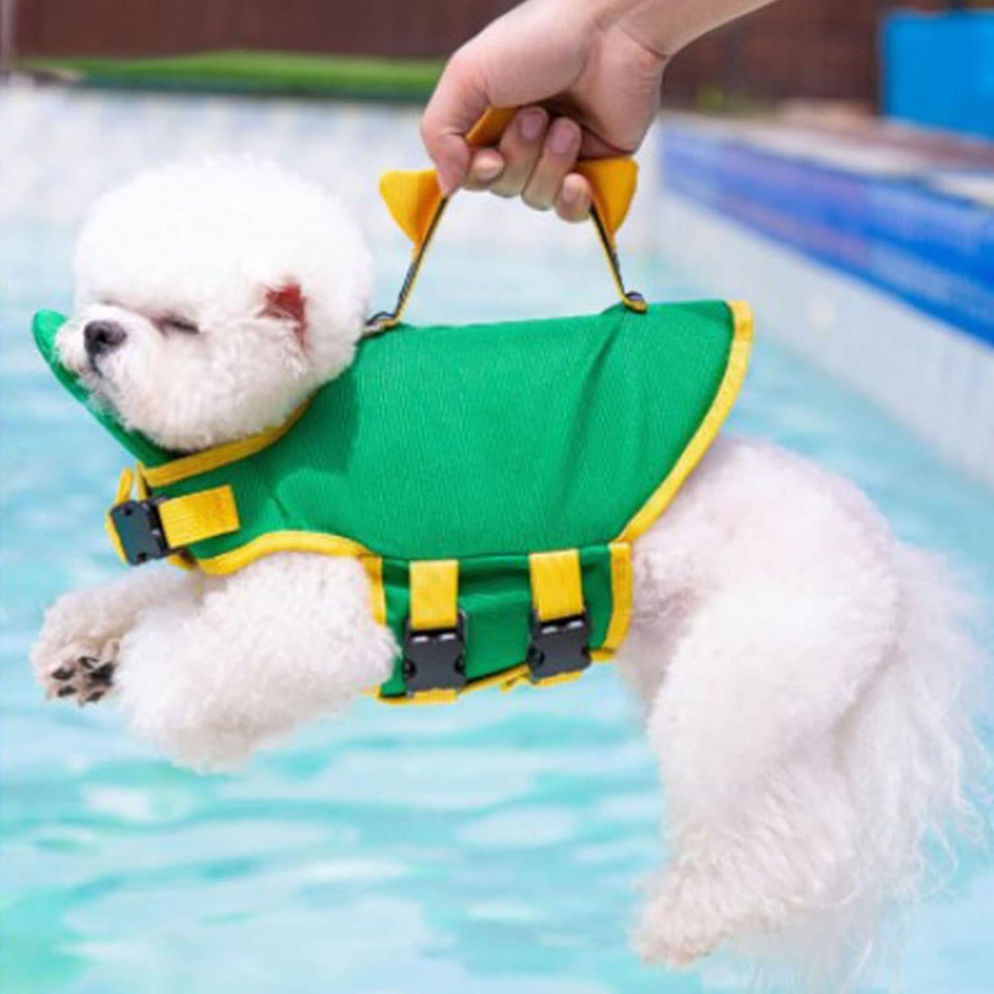 Cute Dog Life Jacket – Adjustable Safety Swim Vest with Grab Handle