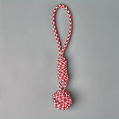 CheerMyPet™ 01 Heavy-Duty Tow Rope Toy