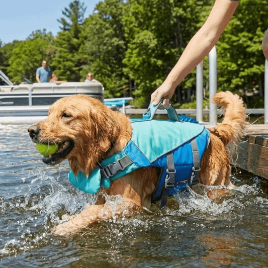 Adjustable Pet Life Vest for Swimming & Water Safety