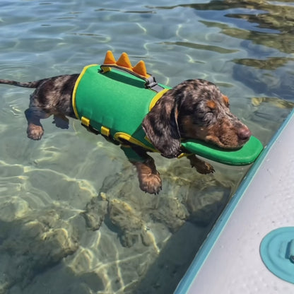 Cute Dog Life Jacket – Adjustable Safety Swim Vest with Grab Handle